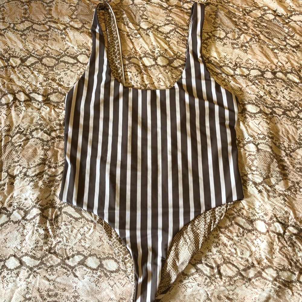 Up for Trade! XL Palm Spring